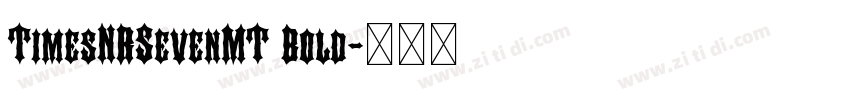 TimesNRSevenMT Bold字体转换 TimesNRSevenMT Bold字体转换